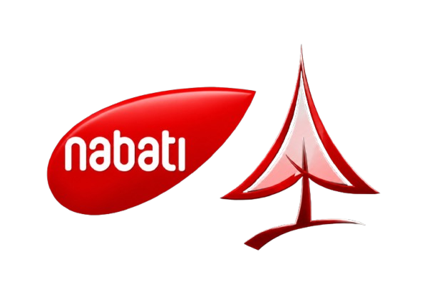 4D+1 Logo